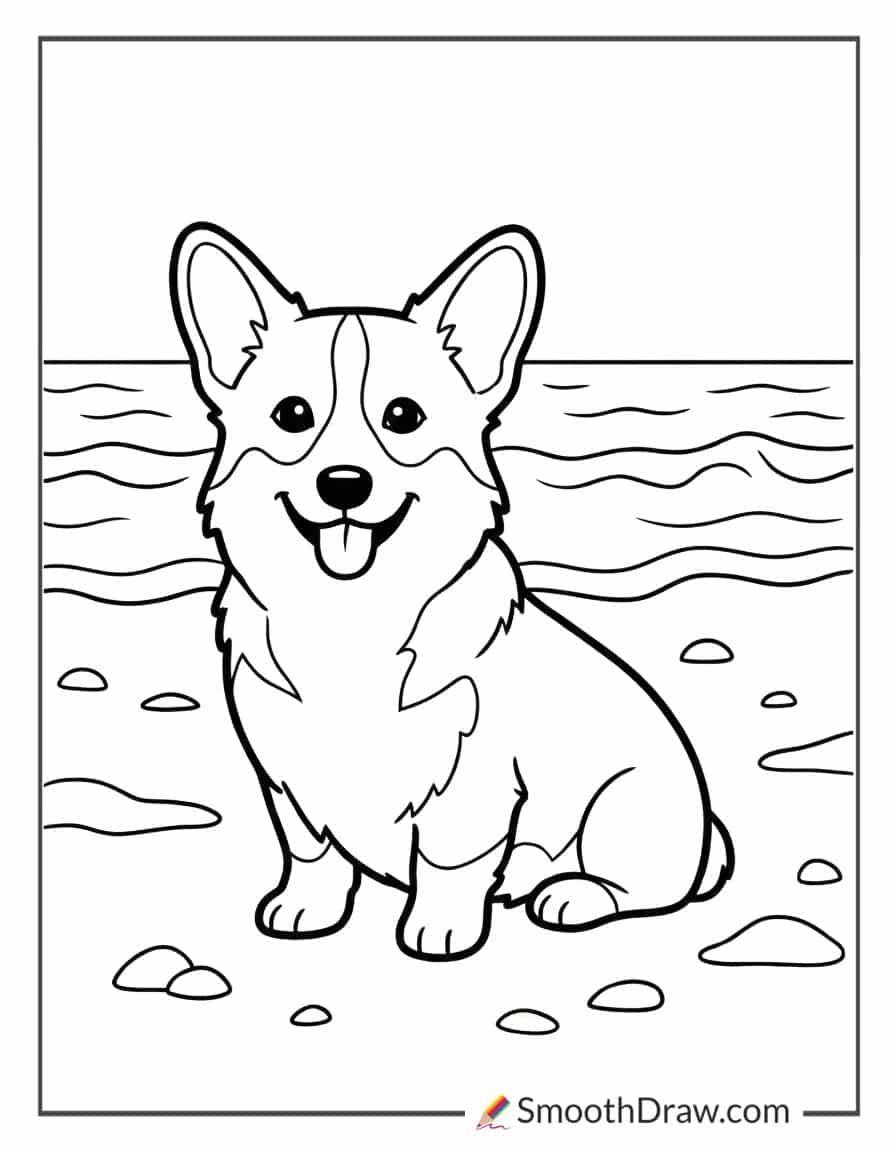 Corgi at beach for coloring
