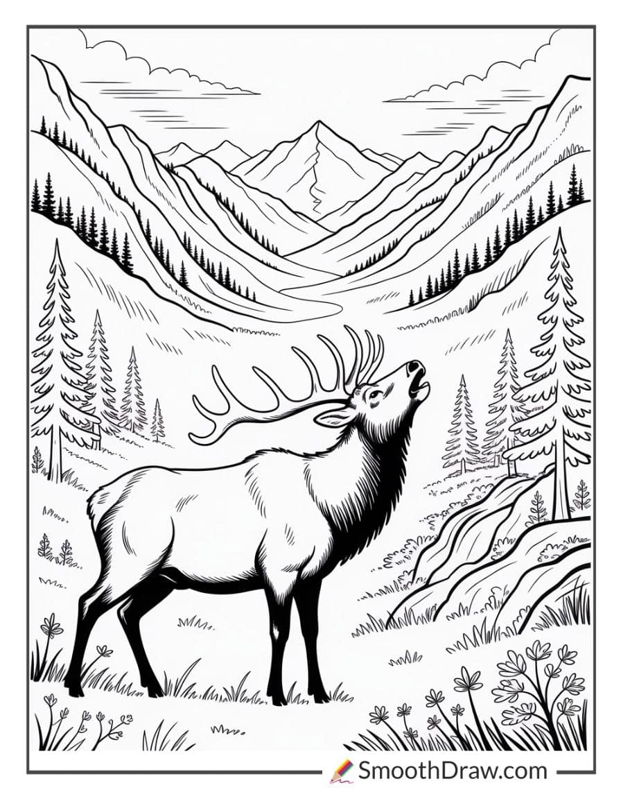 Elk Bugling In Mountain Valley