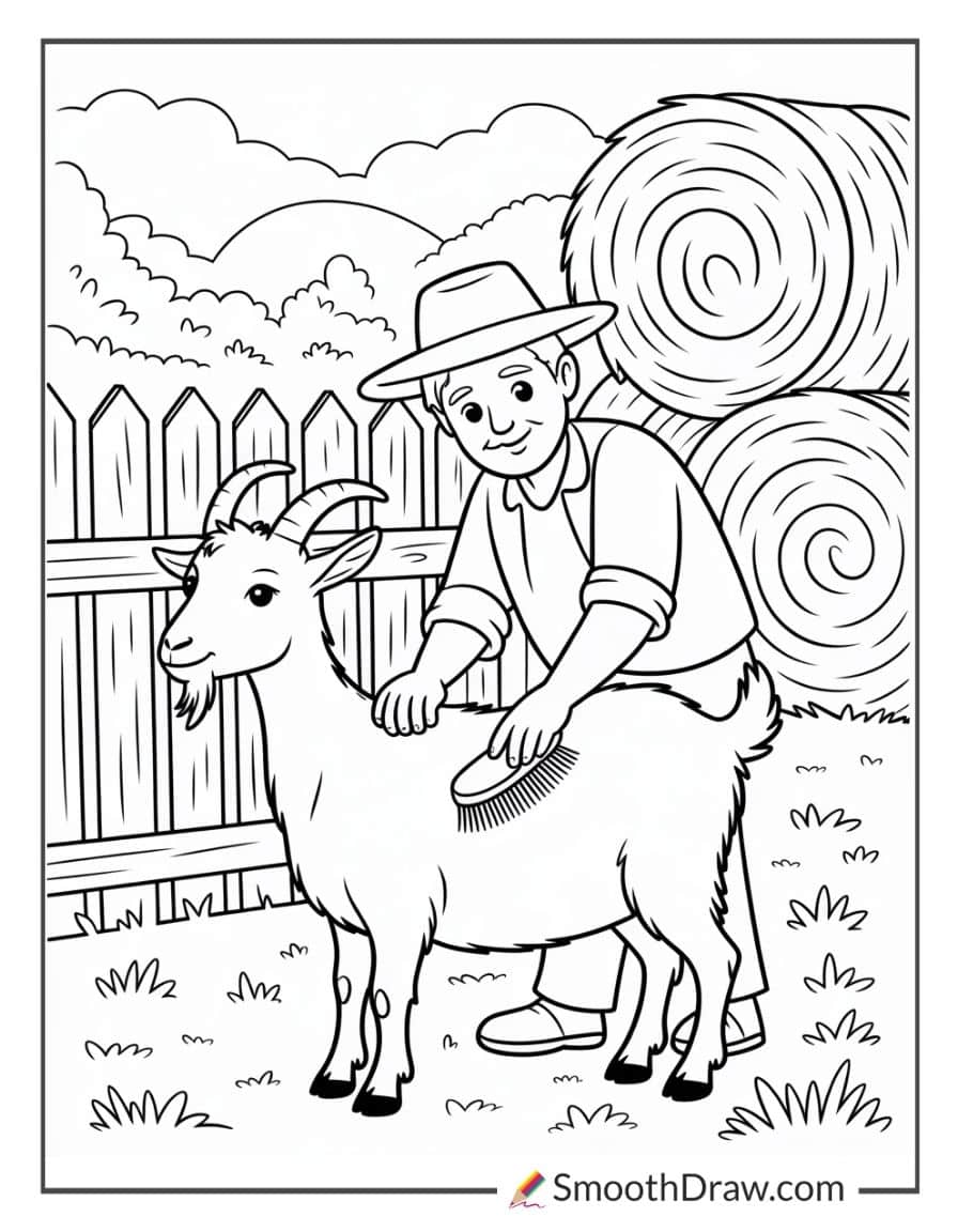 Farmer brushing a goat’s coat