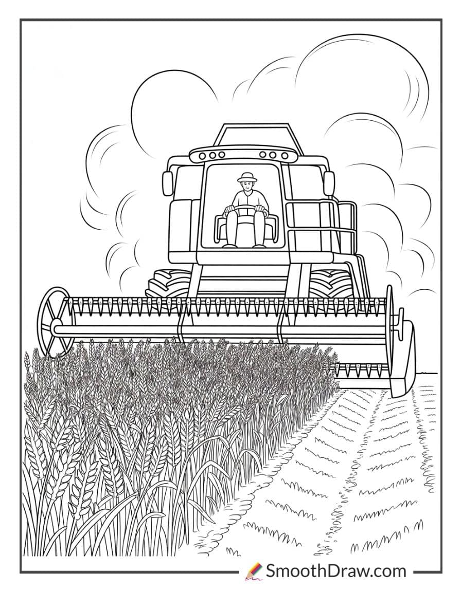 Farmer driving combine harvester