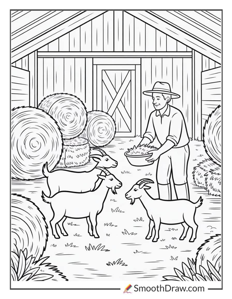 Farmer feeding goats in the barn