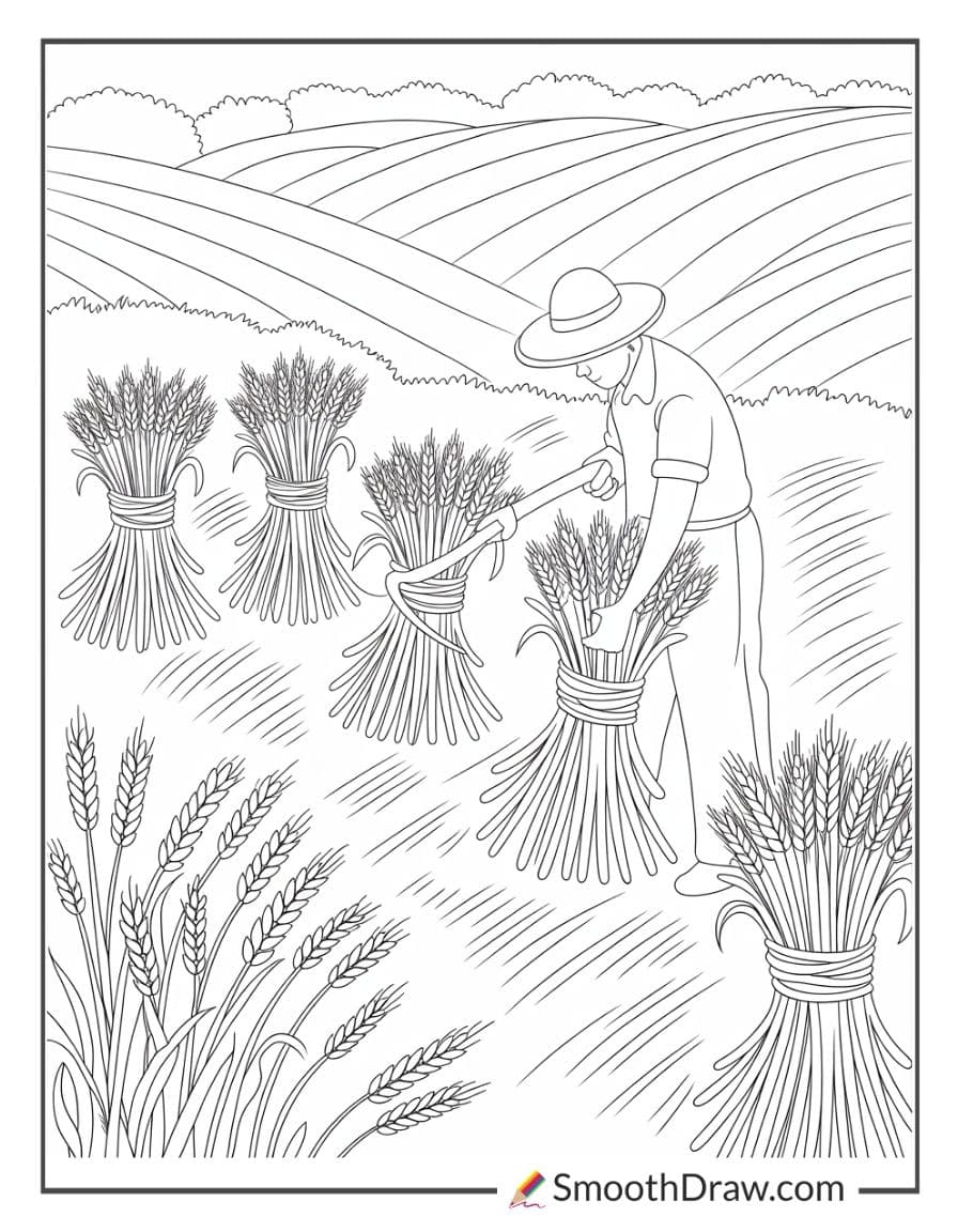 Farmer harvesting wheat by hand