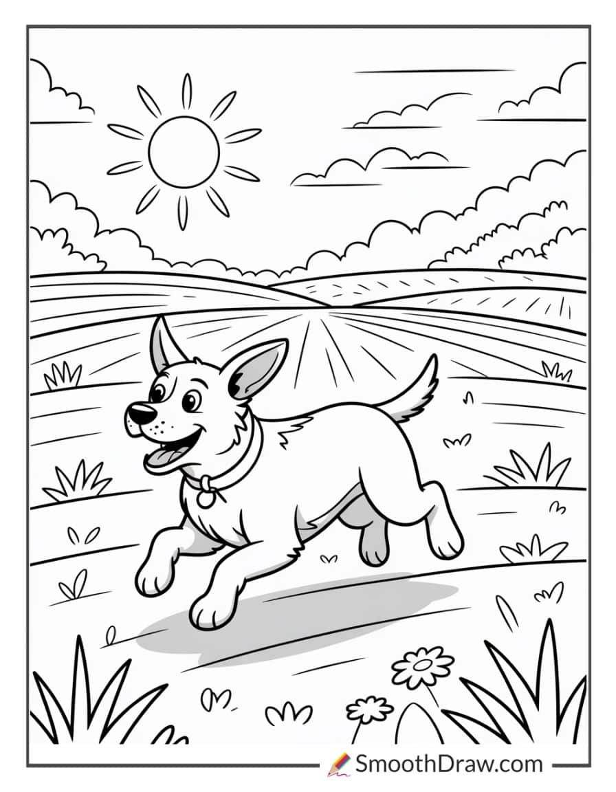Farmer’s dog running across the field