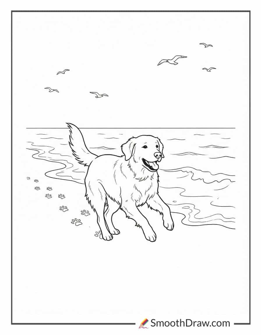Golden retriever running on beach