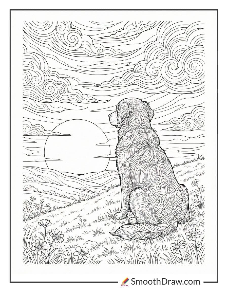 Golden retriever watching sunset