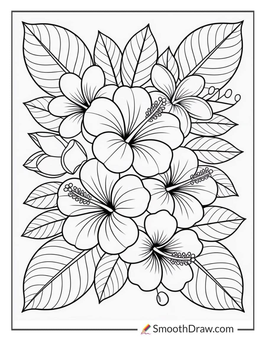 Hibiscus and plumeria flowers
