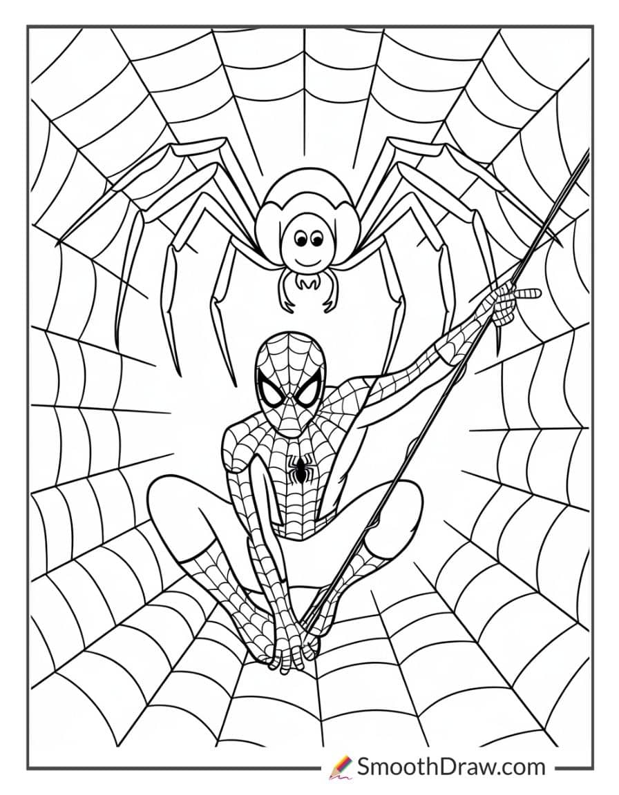 Spiderman on a web