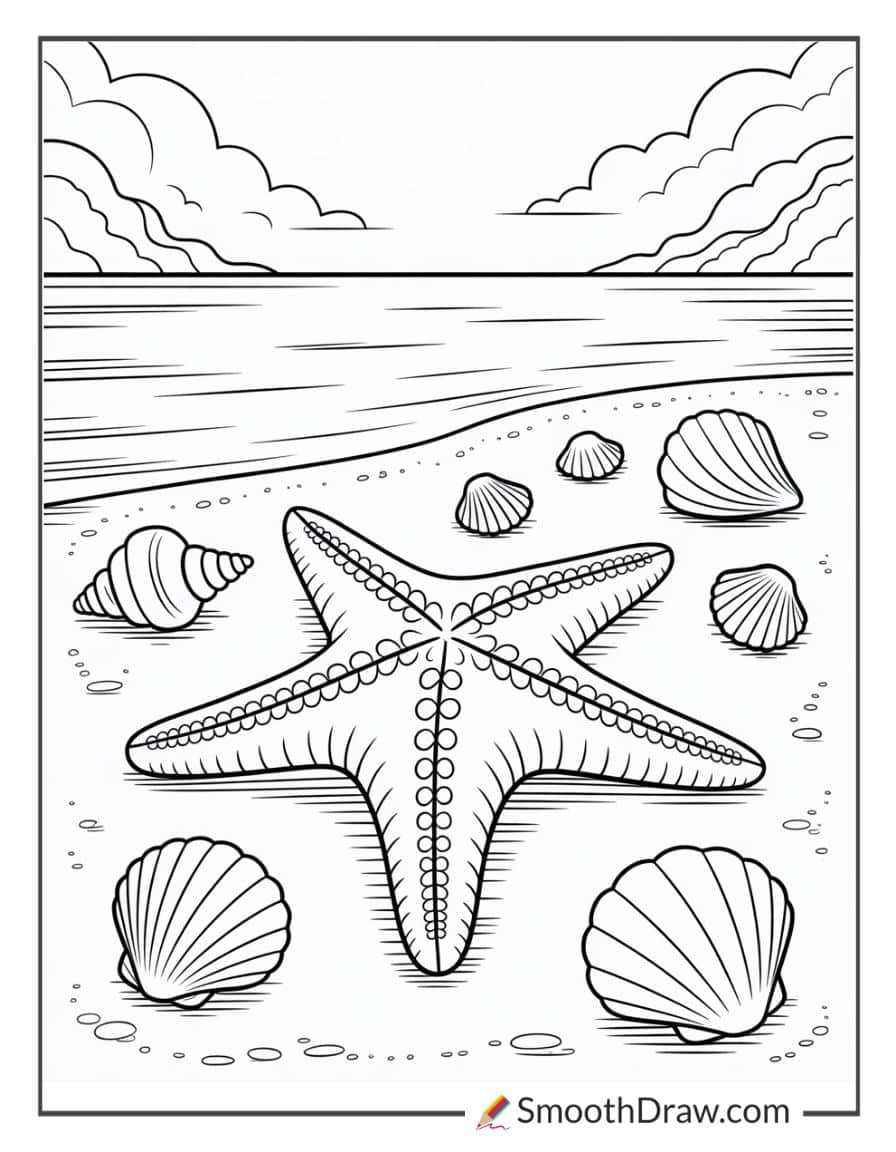 Starfish on sandy shore