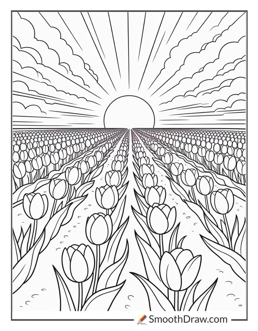 Sunset over tulip fields coloring pages