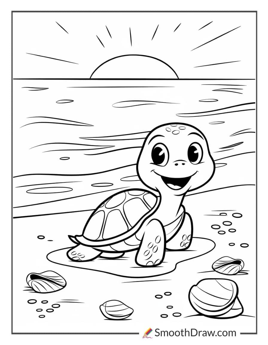 Sunset with turtle by the shore