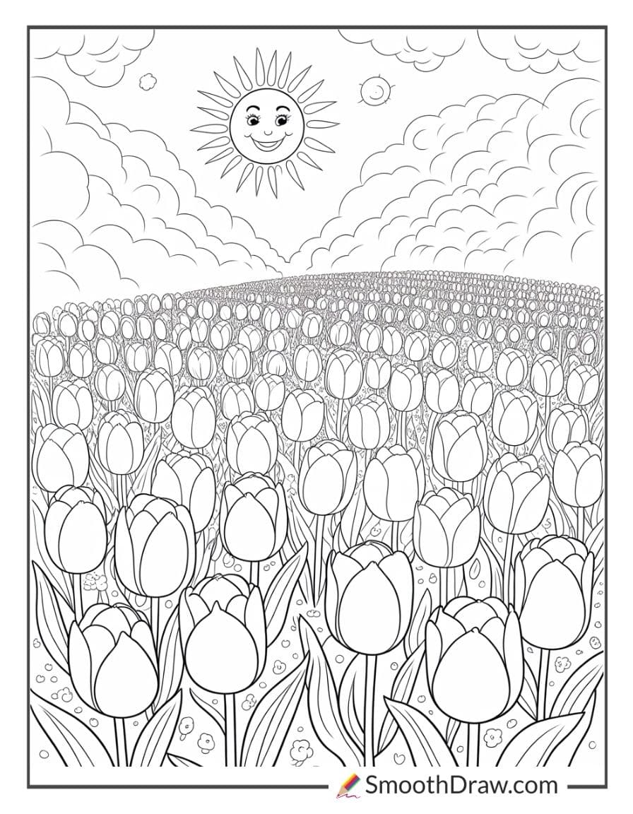 Tulip field under bright sunshine