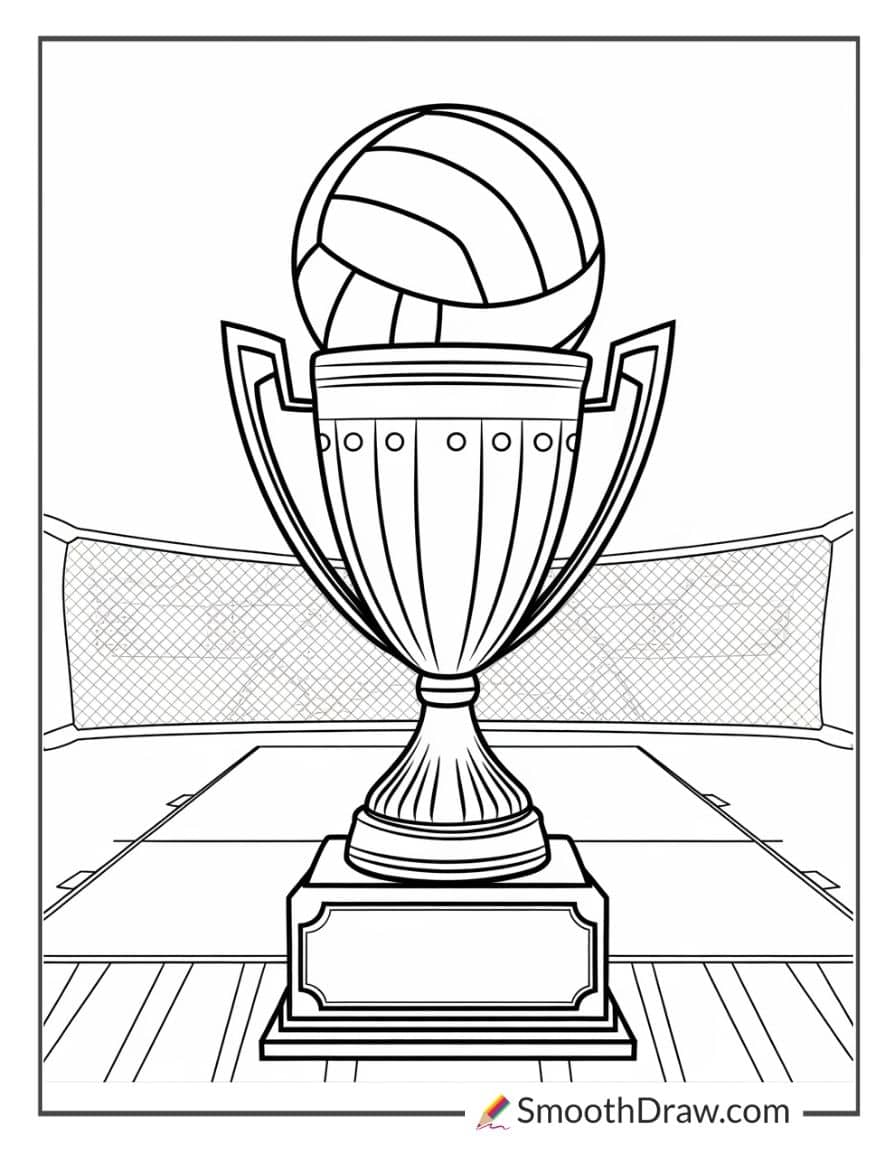 Volleyball trophy