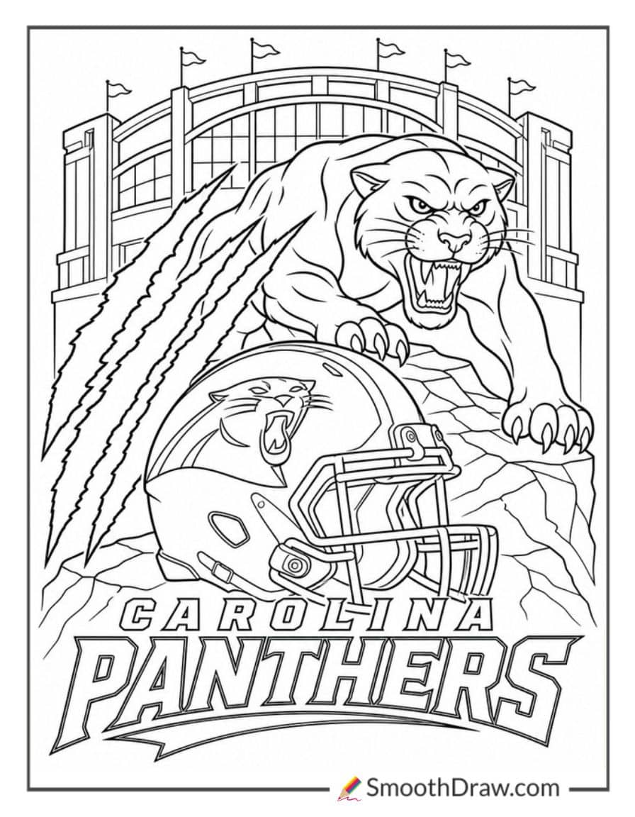 Carolina Panthers Promotional Key Art