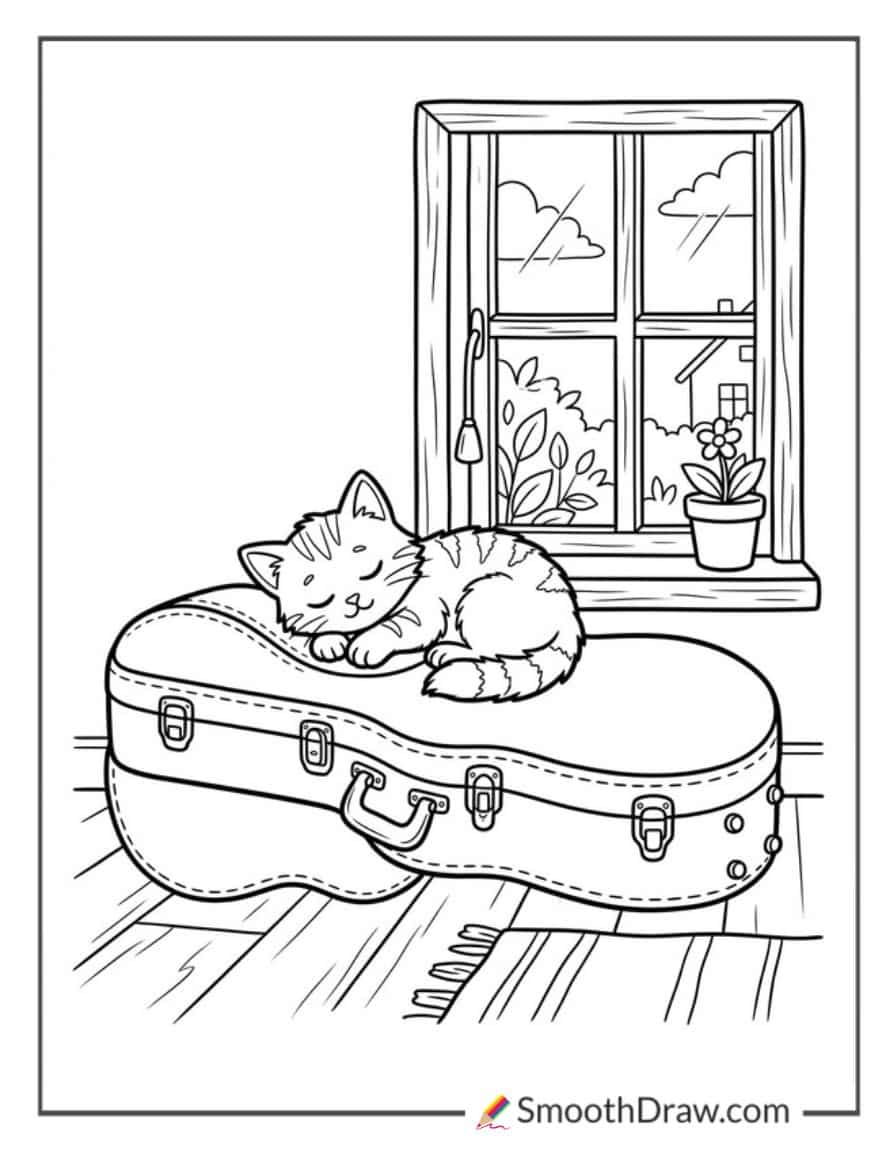 Cat Sleeping On Guitar Case