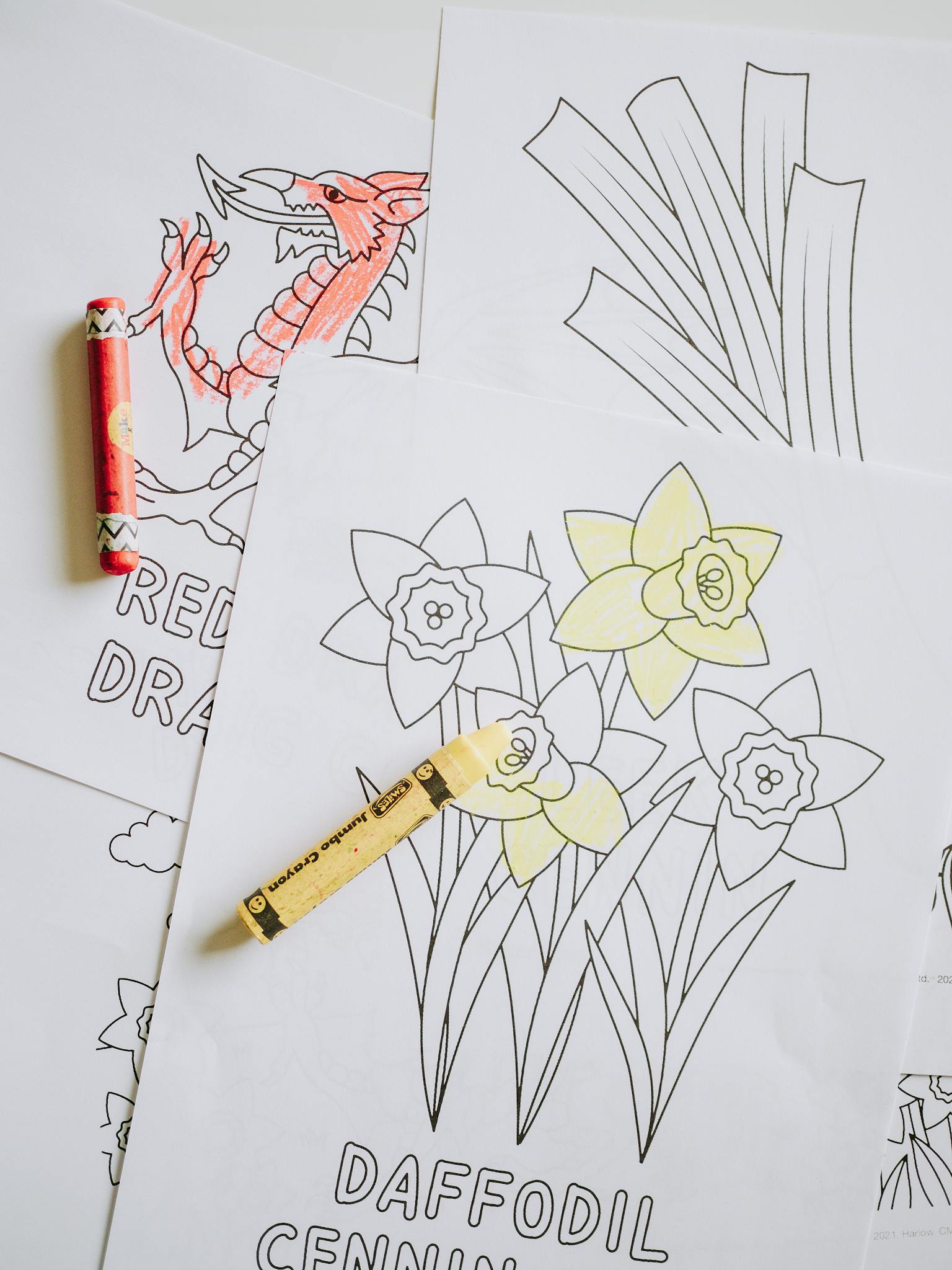 Coloring Pages for Children Partly Colored
