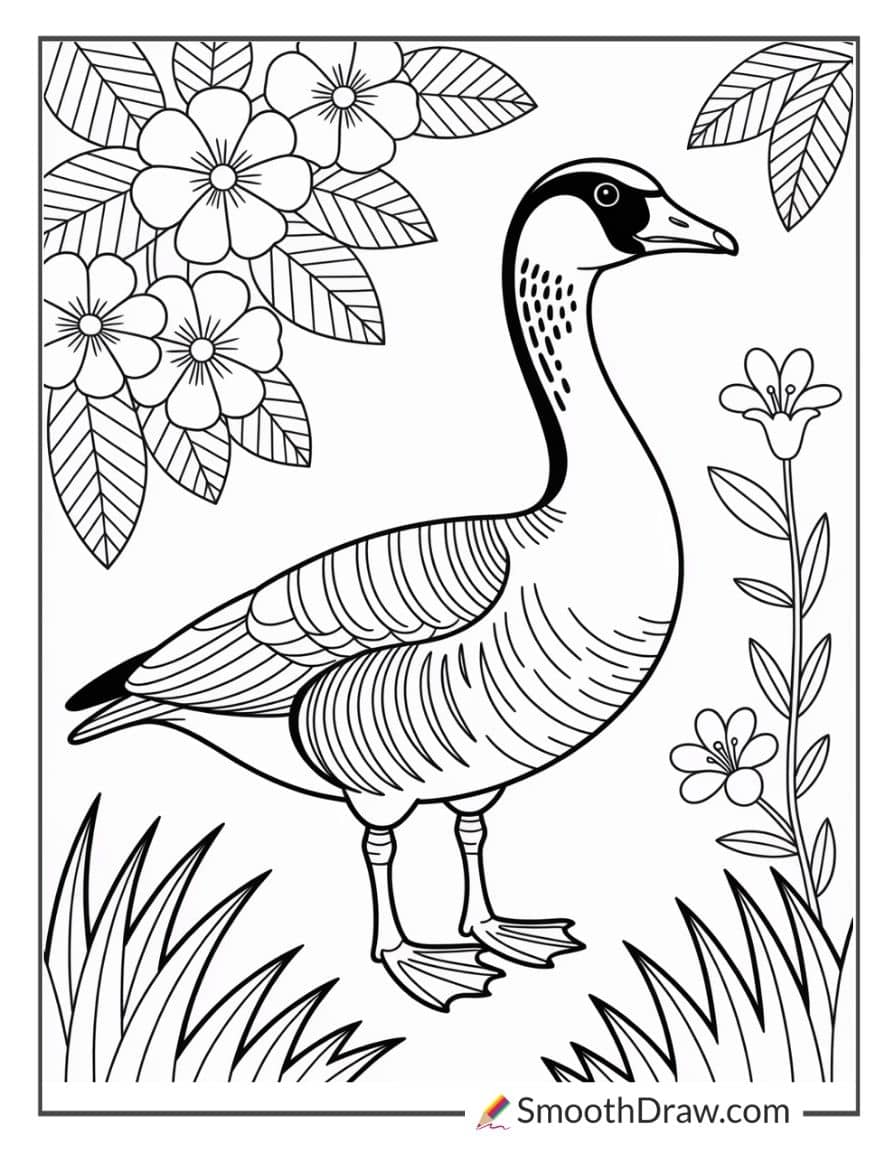 hawaiian goose coloring pages