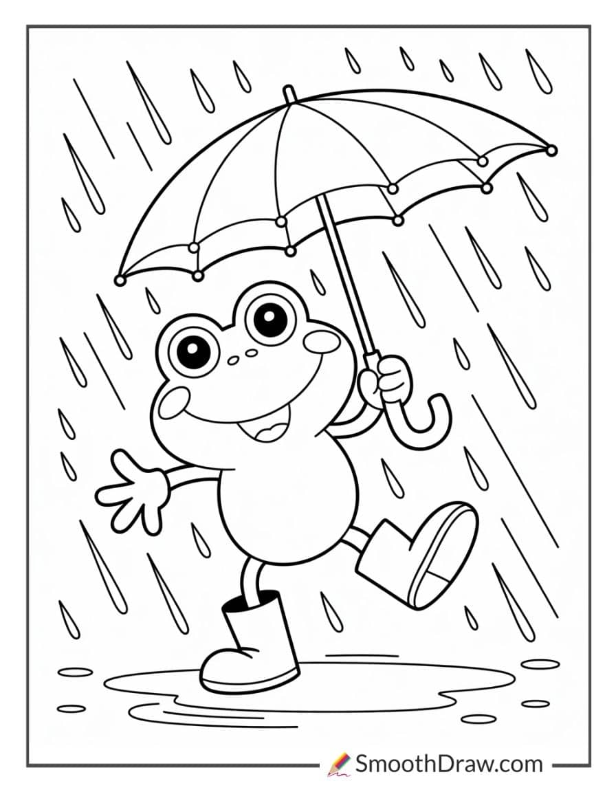 rain frog