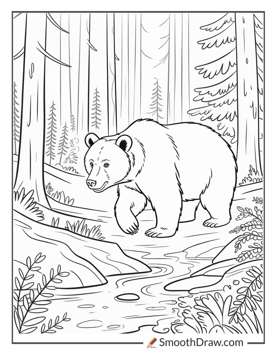 Bear Walking Through The Woods