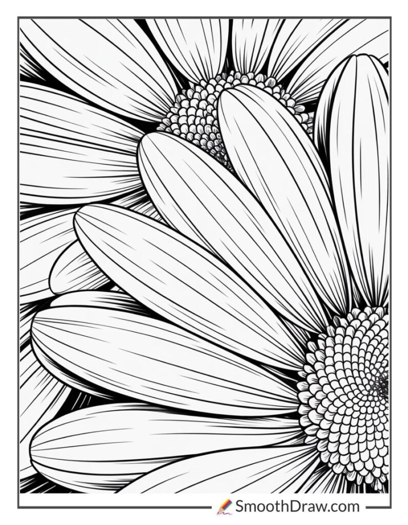 35 Free Daisy Coloring Pages (Free PDF Printables)