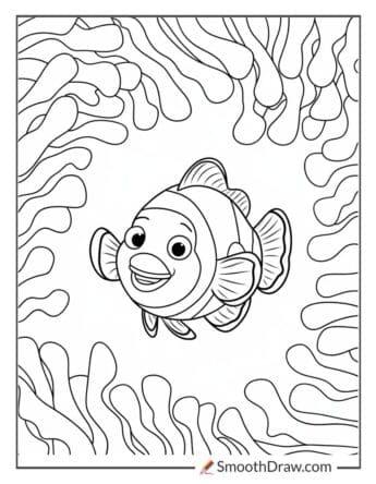 Clownfish