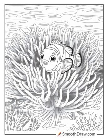 Clownfish hiding in sea anemone