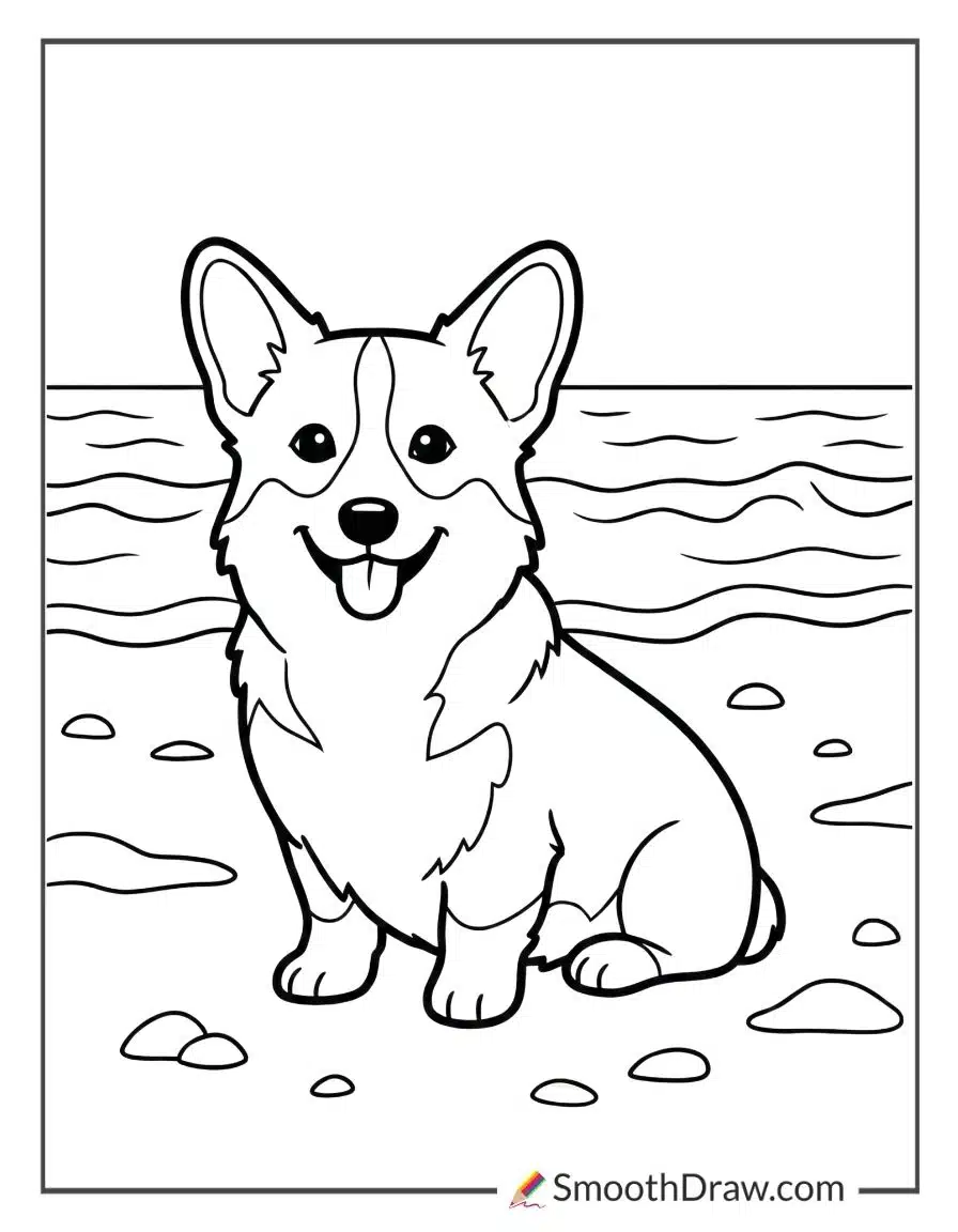 Corgi At Beach For Coloring