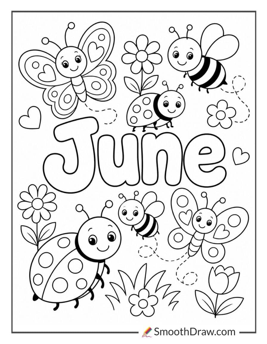 Cute June Insects And Ladybugs
