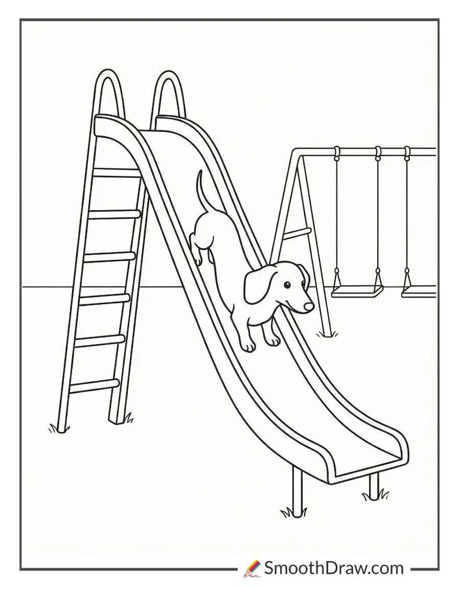 Dachshund At Playground On Slide Coloring Page