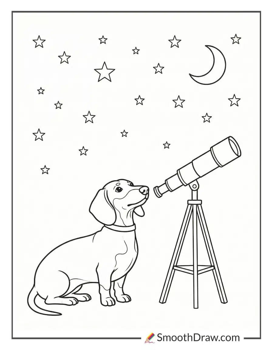 Dachshund Stargazing With Telescope