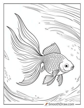 Fancy goldfish with flowing fins