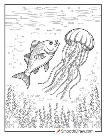 Fish and jellyfish floating together