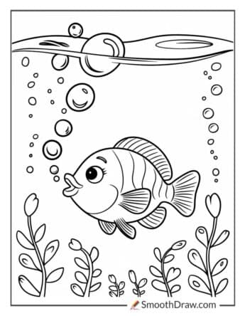 Fish blowing bubbles underwater