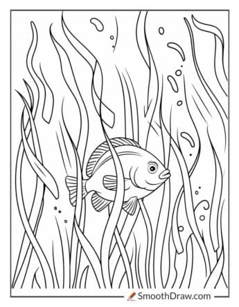 Fish hiding in seaweed