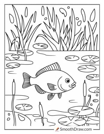 Fish in a beautiful lake