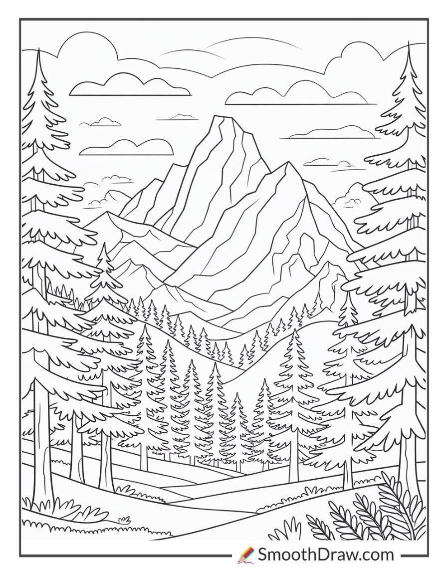 Forest Mountain View With Trees