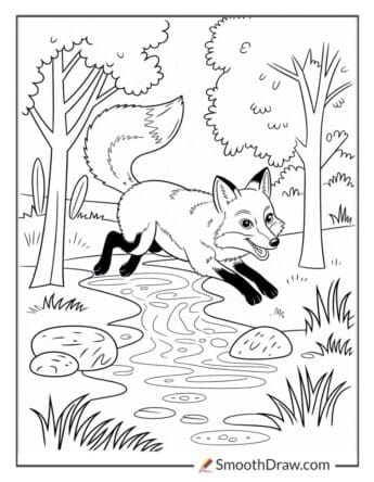 Fox jumping over a creek