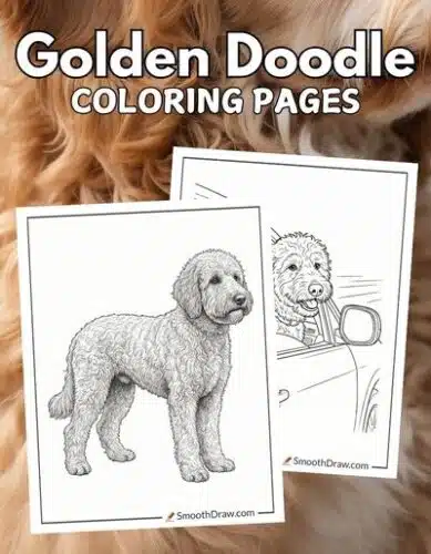 Golden Doodle coloring pages f