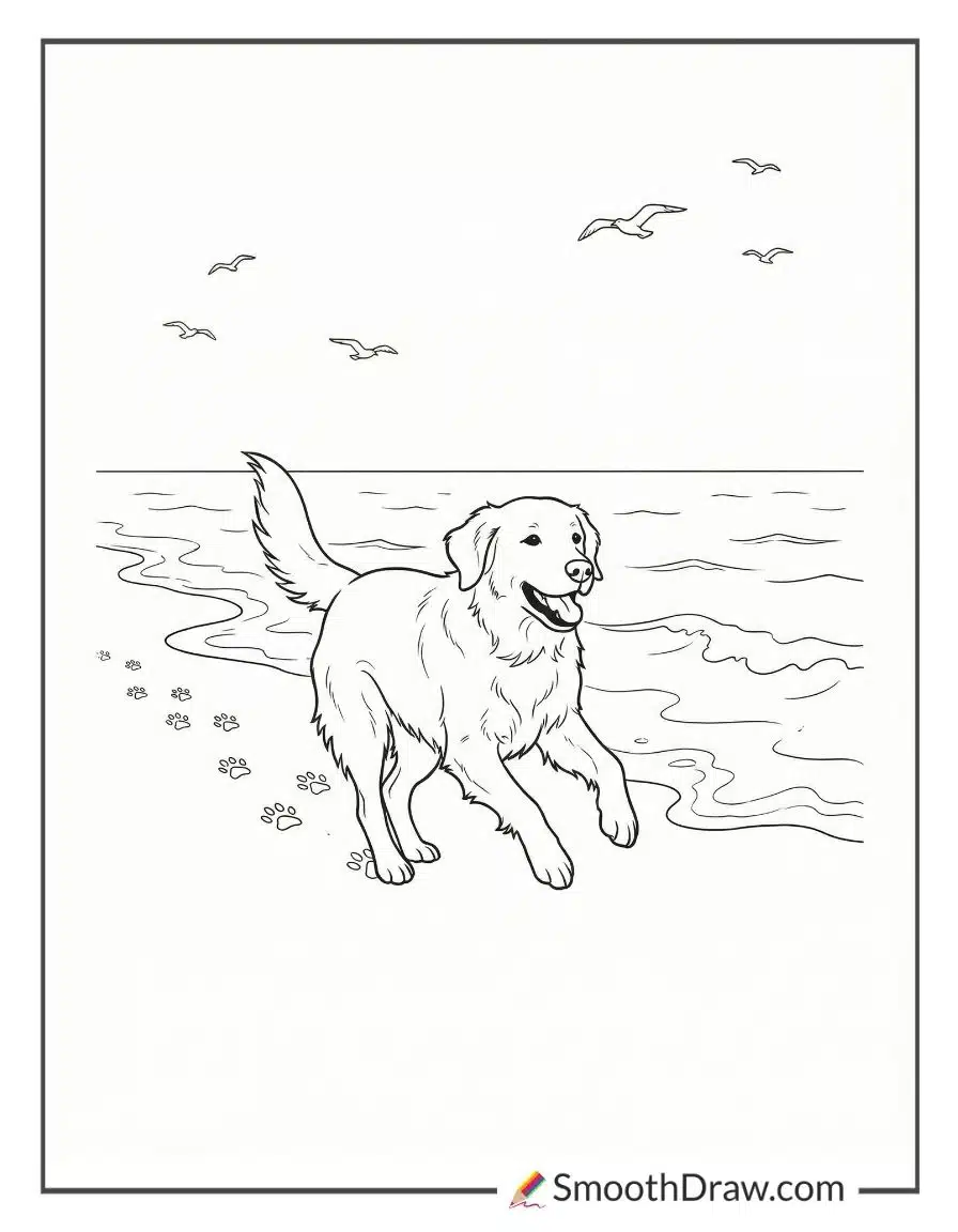 Golden Retriever Running On Beach