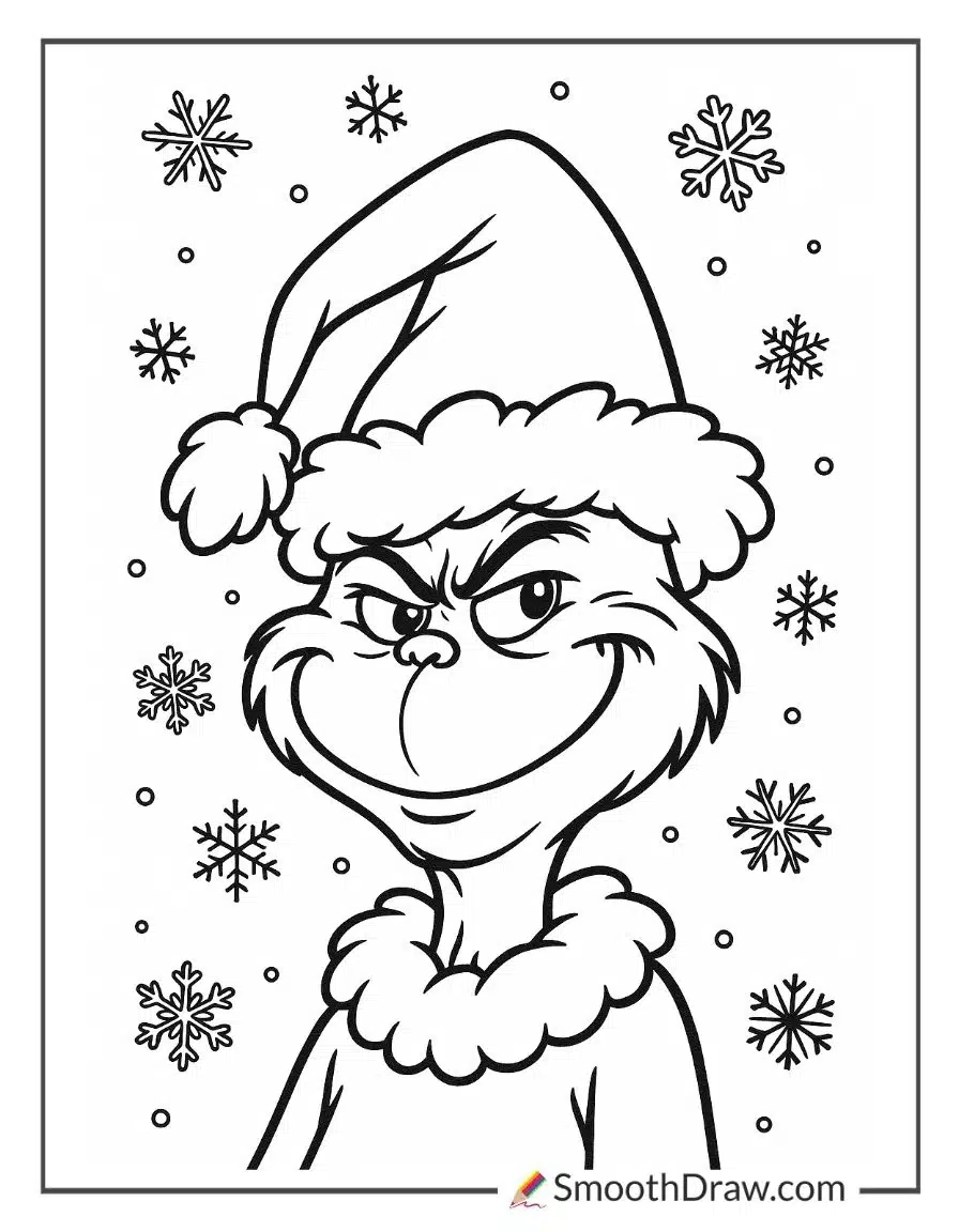 Grinch With A Big Santa Hat