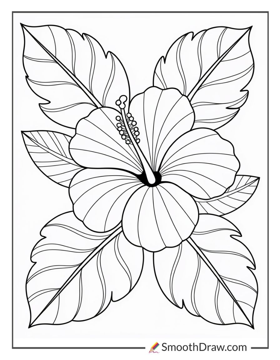 Hibiscus flower coloring page