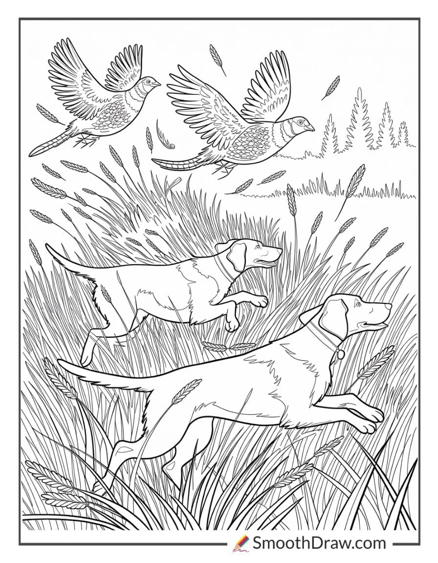 Hunting Dogs Flushing Pheasants