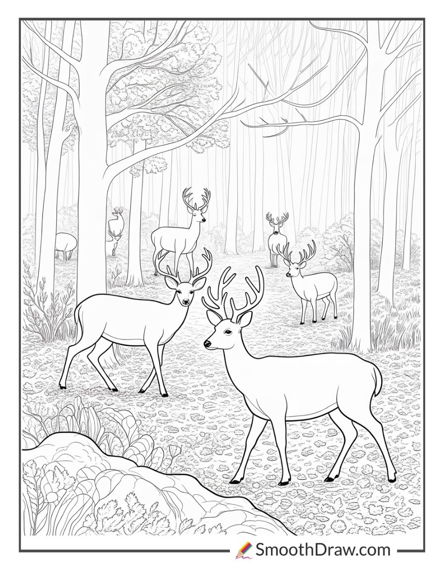 November Forest With Deer