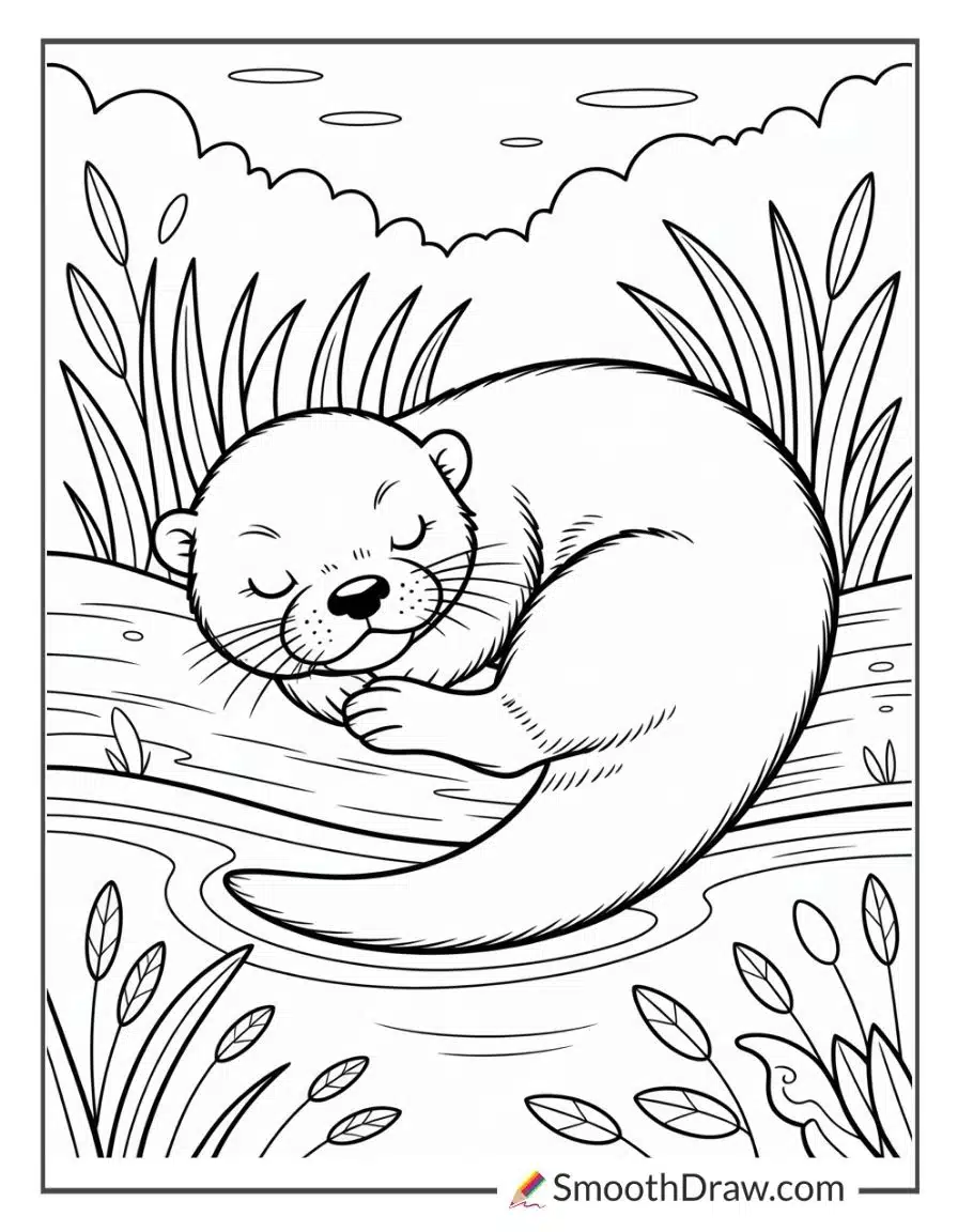 Otter Curled Up Sleeping