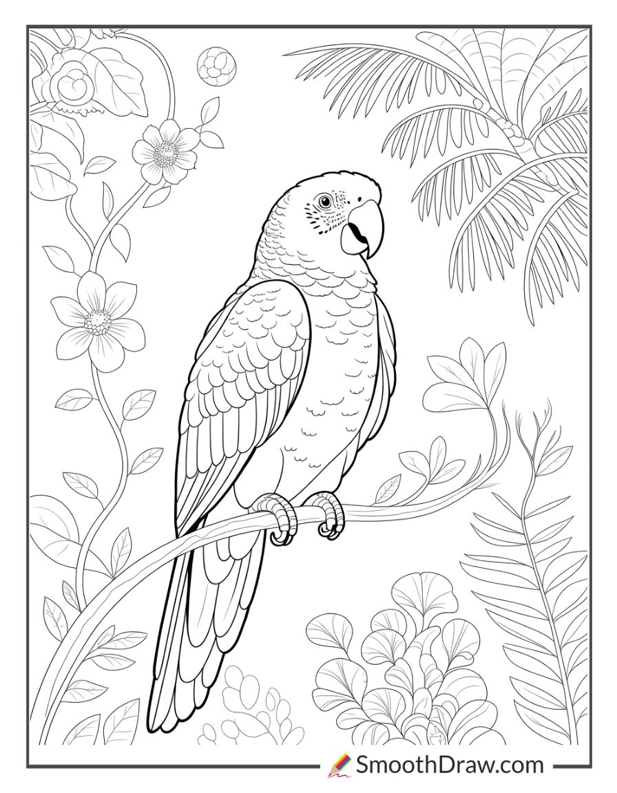 Parrot sitting on a branch