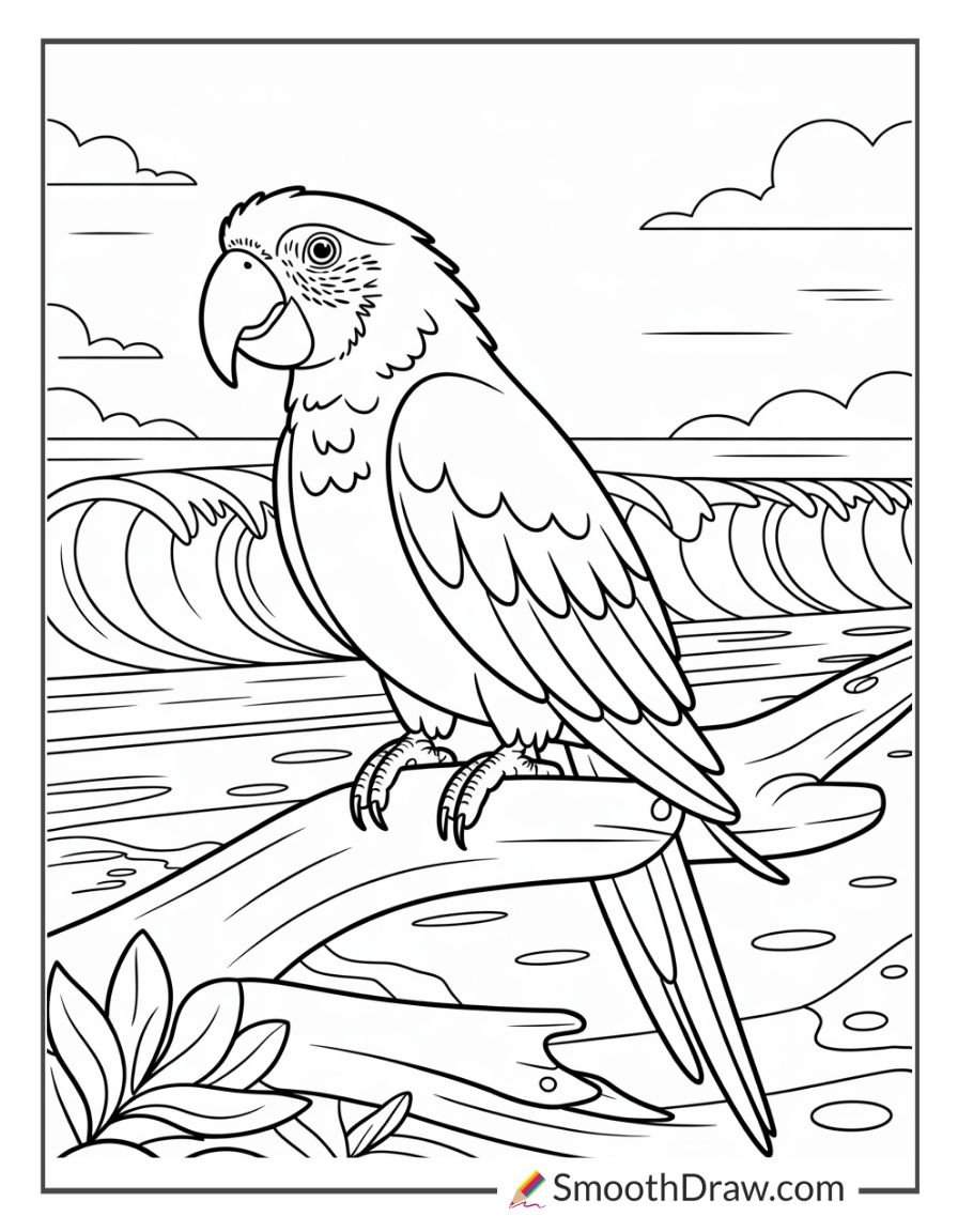 Parrot standing on driftwood