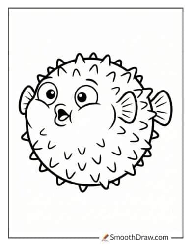 Pufferfish puffed up and spiky