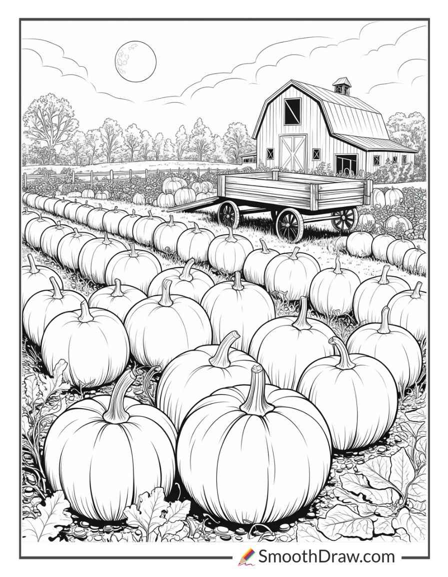 Pumpkin Patch Scene In October