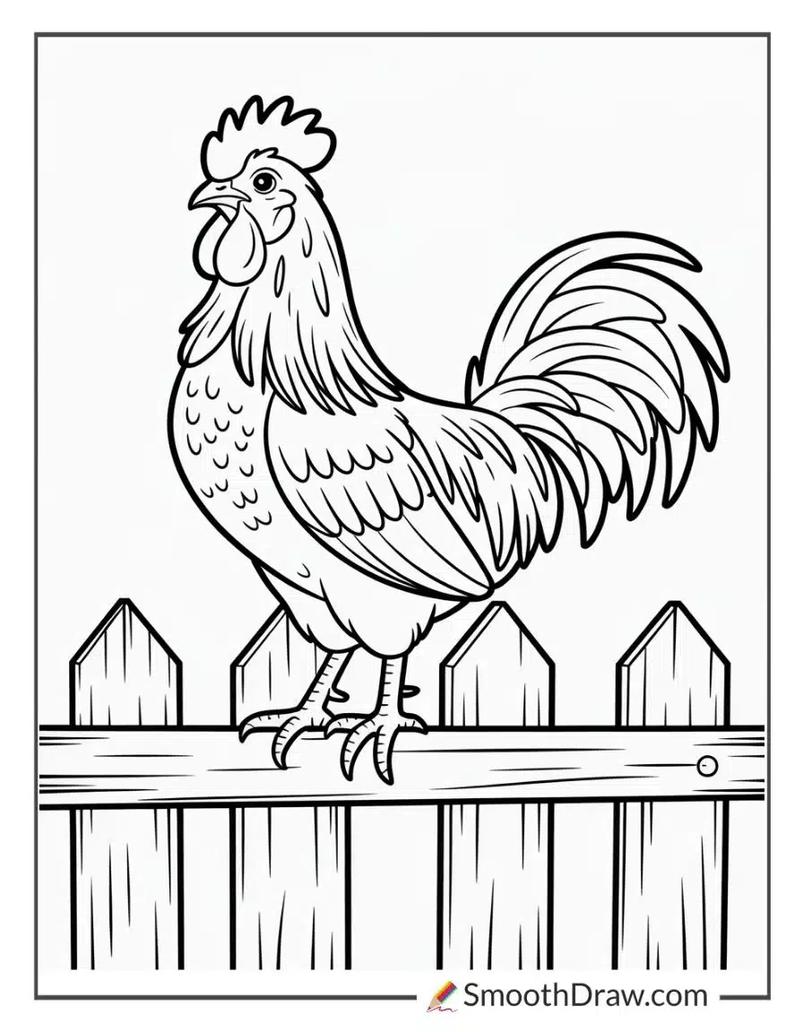 Rooster On A Fence Post Coloring Page