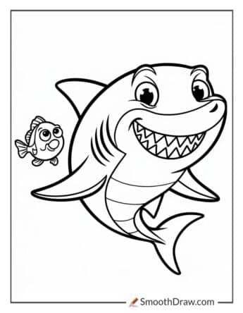 Shark and fish