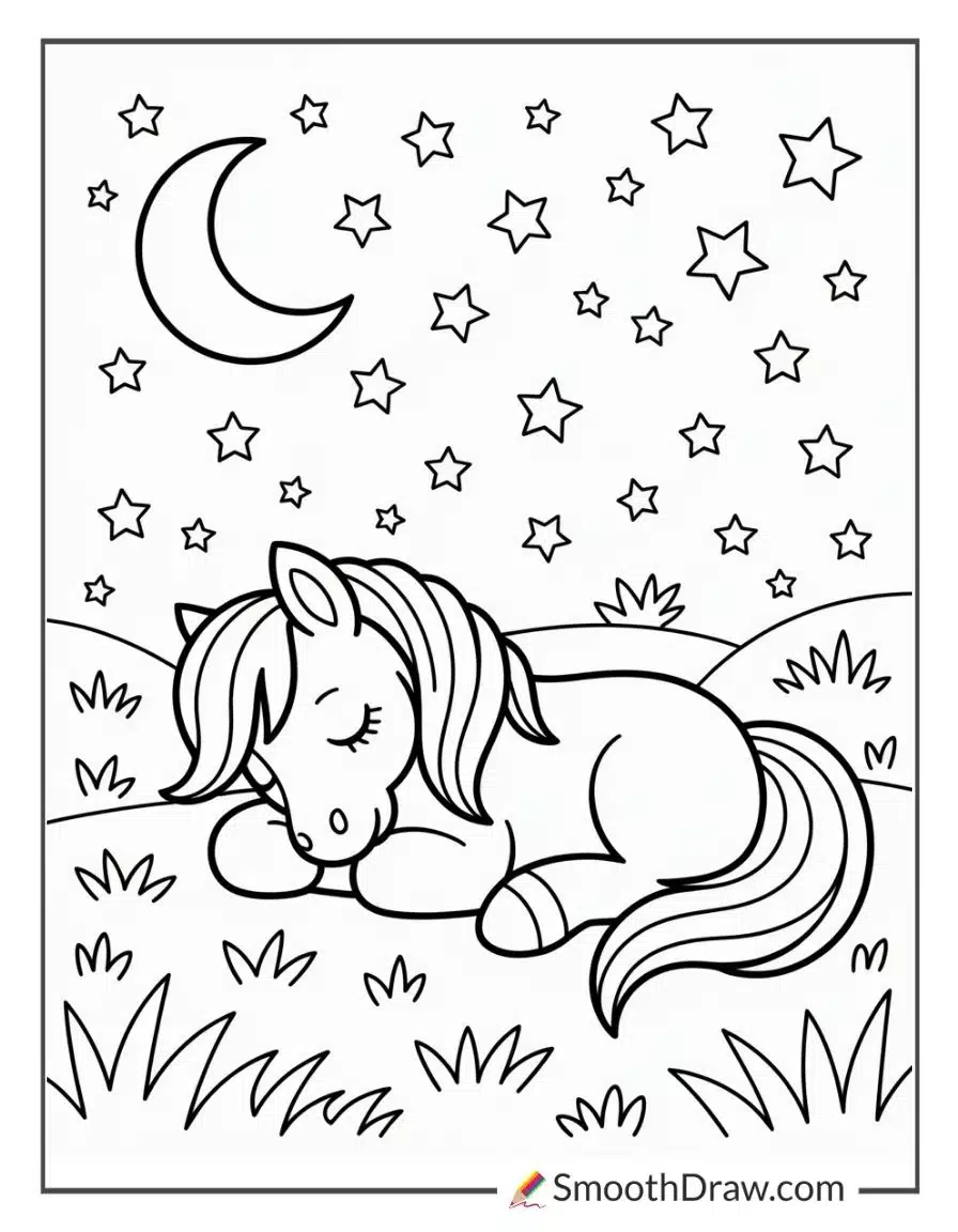 Sleeping Pony Under The Stars